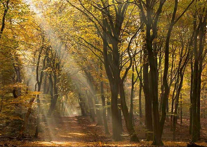 Nieuw Soerel Veluwe in the Netherlands: The Best Things to See and Do photo