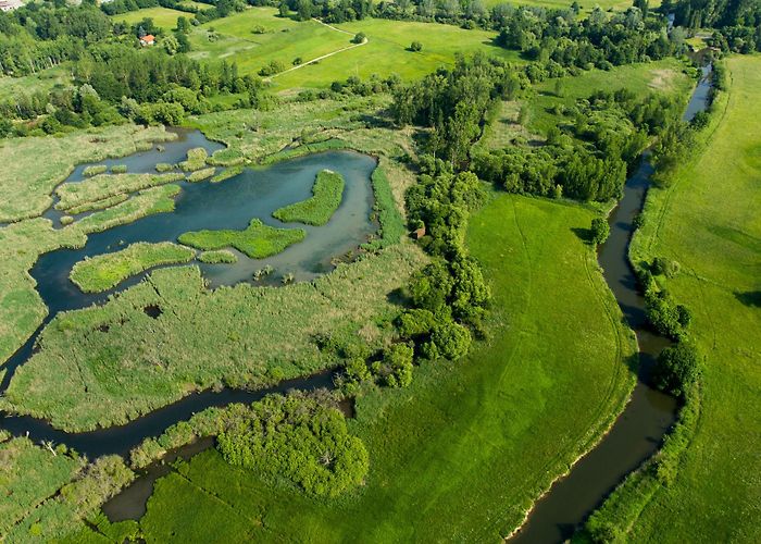 Cigoland illwald nature reserve in the Selestat Ried area in Alsace ... photo