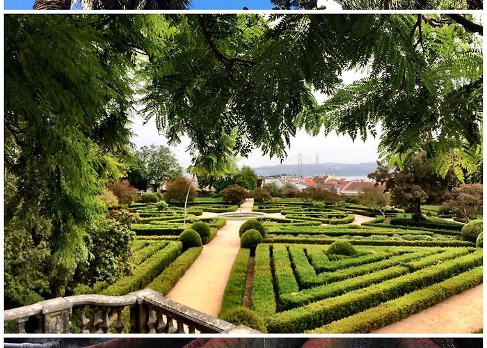 Estrela Garden Botanical Gardens of Lisbon – Springhill Stories photo