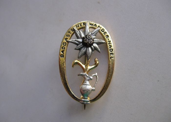 Gasteiner Museum Bad Gasteiner Wander-nadel bad Gastein Hiking Needle. Old Souvenir ... photo