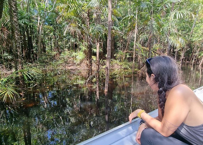 Forest Science INPA An Amazonian Adventure: We travel to Brazil, canoe through the ... photo