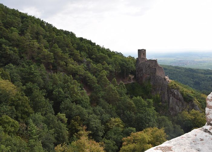 Château du Girsberg Visit Ribeauvillé: 2024 Travel Guide for Ribeauvillé, Grand Est ... photo