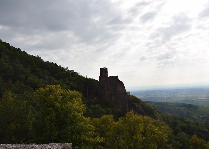 Château du Girsberg Visit Ribeauvillé: 2024 Travel Guide for Ribeauvillé, Grand Est ... photo