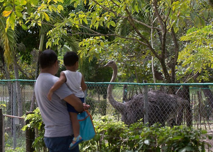 Fortaleza Zoo Zoológico de Fortaleza: saiba horário, valores e onde fica - Ceará ... photo