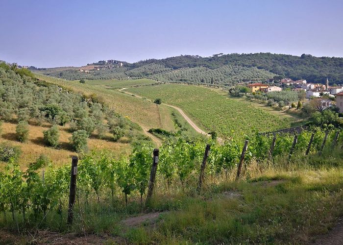 Capraia Top 10 Bike Rides and Cycling Routes around Capraia E Limite | Komoot photo