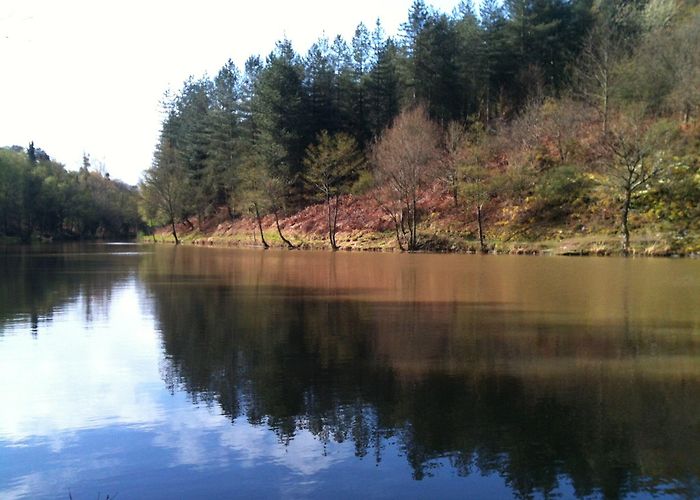 Domaine de Tremelin Visit Iffendic: 2024 Travel Guide for Iffendic, Brittany | Expedia photo