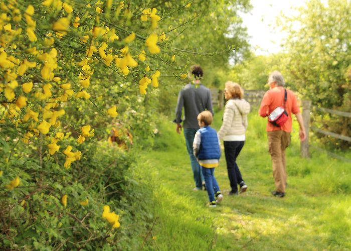 Domaine de Tremelin Le domaine de Careil (Iffendic) | Destination Brocéliande in Brittany photo
