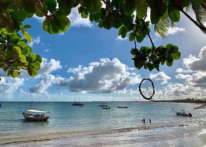 Armazem da Vila Shopping Mall Things to Do in Praia do Forte in 2024 | Expedia photo