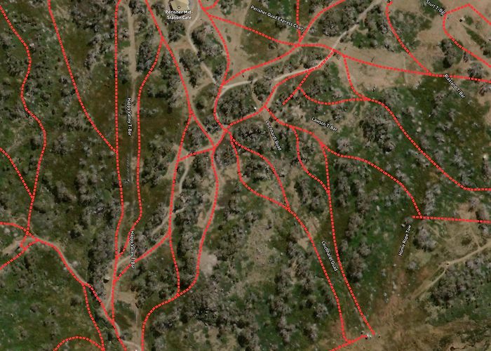 Home Rope Tow Jollyturns: Perisher - Snowy Trails photo