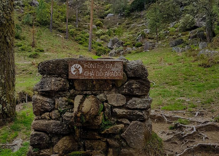 Arado Waterfall Arado Waterfall Tours - Book Now | Expedia photo