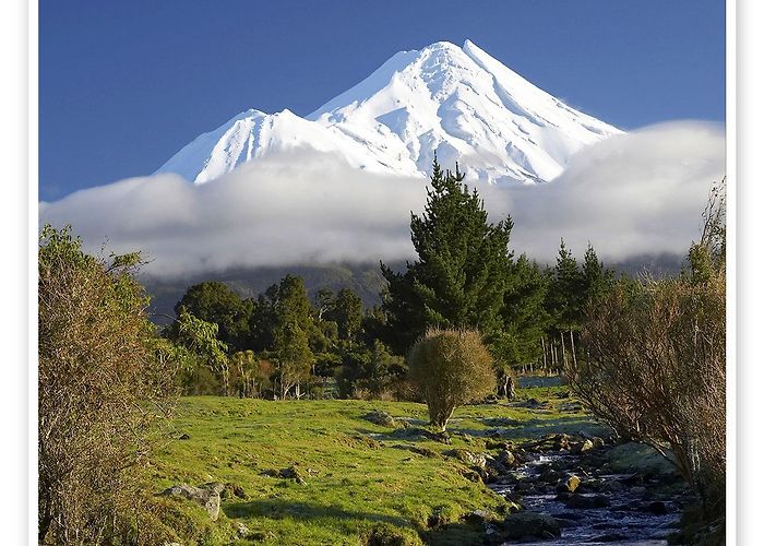 Mount Taranaki Nature at Mount Taranaki print by David Wall | Posterlounge photo