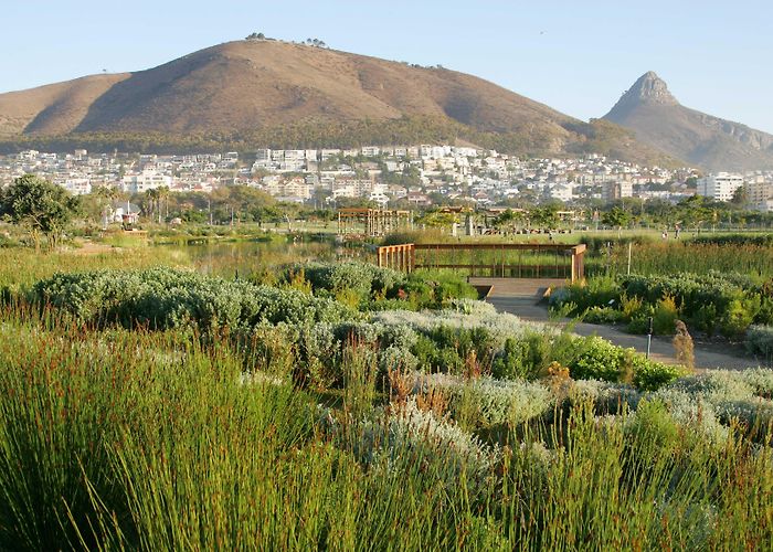 Green Point Urban Park Green Point Urban Park | Get the Best Accommodation Deal - Book ... photo