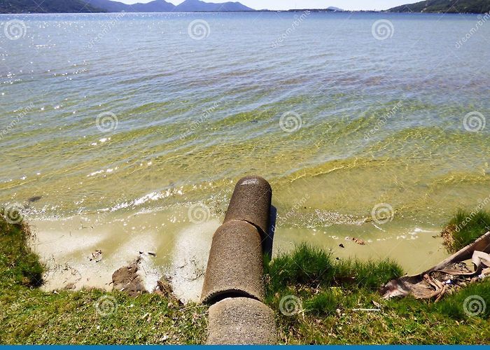 Conceição Lagoon Open Sewer Going Straight To Lagoa Da Conceicao, Famous Lagoon and ... photo
