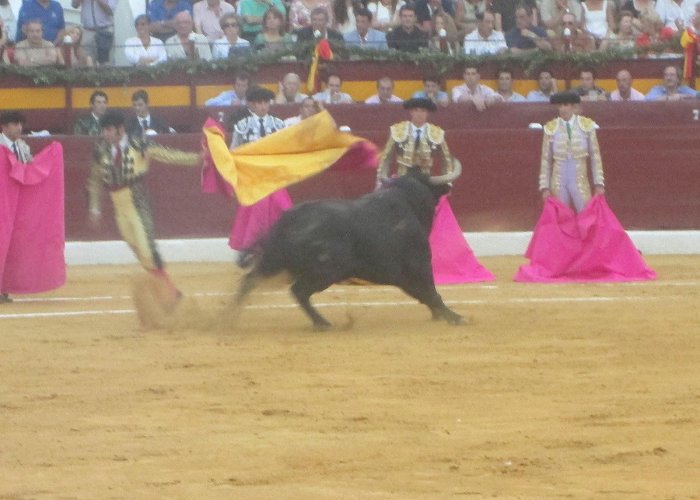 Murcia Bull Arena ISEP Student Stories: Stephanie Goes to the Spanish Bullfight ... photo