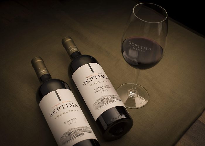 Septima Winery Séptima - Bodega Séptima | Bodega Séptima - Latiendo en el corazón ... photo