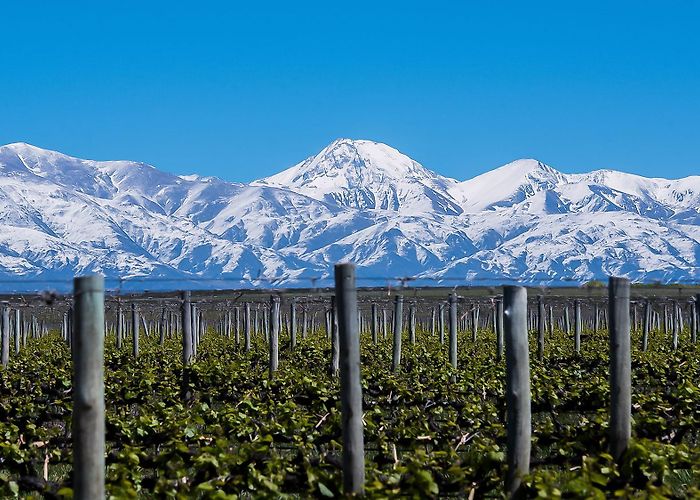 Septima Winery Lujan de Cuyo Wine Tour - Wine tasting, Lunch and Private Guide photo