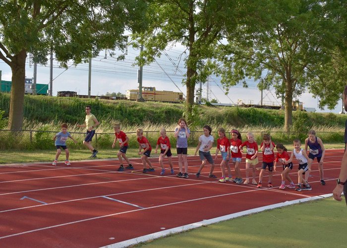 Atletiekbaan Archief fotoalbum - Atletiekvereniging Hanzesport Zutphen photo