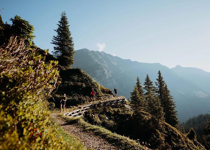 Rinneralm Running route Rinneralm - Platschjoch/Jaufen - Activities and ... photo
