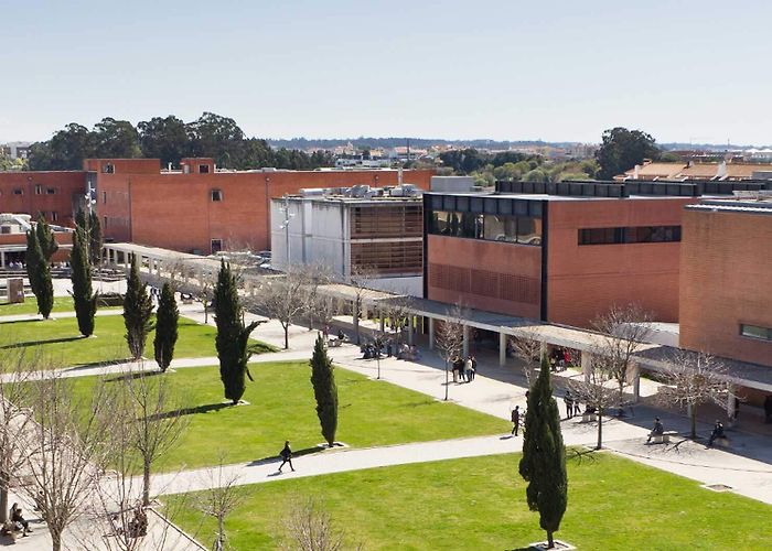 University of Aveiro The University of Aveiro has a vacancy for an Auxiliary Researcher photo