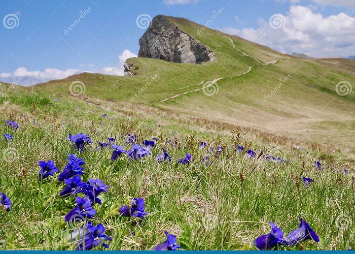 Ragazer Blanken Blanken Stock Photos - Free & Royalty-Free Stock Photos from ... photo