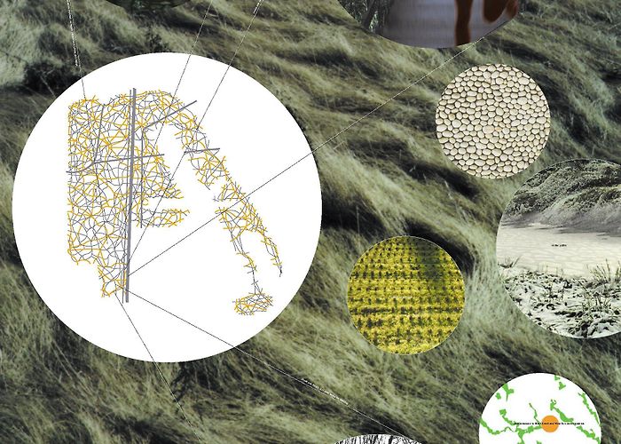 Downsview Park Downsview Park photo