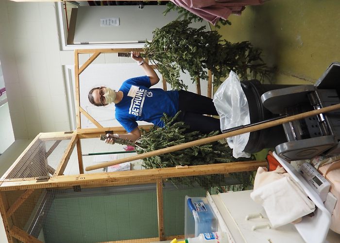 Downsview Park MyImpactPage - Wildlife Care (Downsview Park) photo