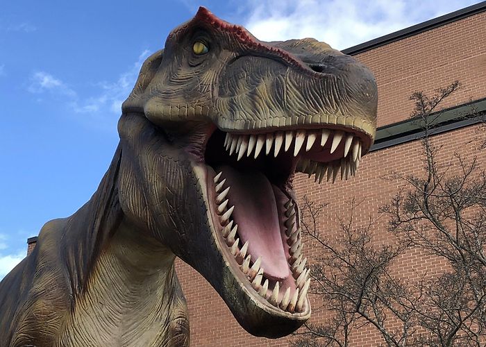 Museum of Natural Sciences Halifax welcomes new animatronic dinosaur exhibit at Museum of ... photo