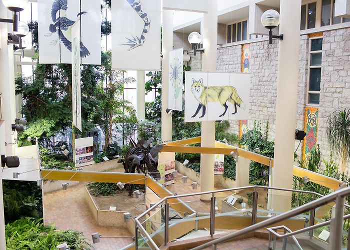 Museum of Natural Sciences Home - Museum of Natural Sciences | University of Saskatchewan photo