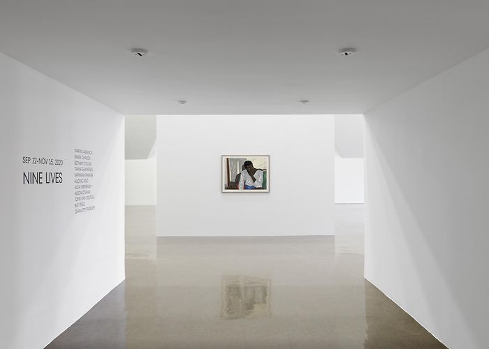 Guimaraes Art Platform Nine Lives | Exhibitions | The Renaissance Society photo