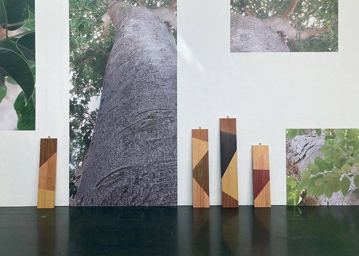 Guimaraes Art Platform PROBLEMAS DO PRIMITIVISMO – A PARTIR DE PORTUGAL | CIAJG ... photo