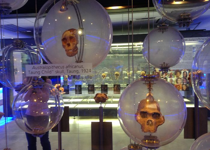 Sterkfontein Caves An African Experience | Kiehn and Coe 2013 Escapades photo