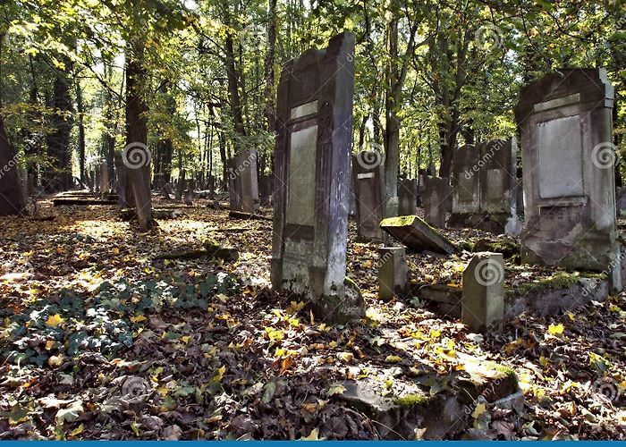 Old Jewish Cemetery Forest graves. editorial photography. Image of frescoes - 61147942 photo