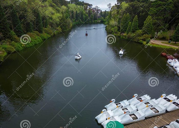 Black Lake Park Aerial View of Lago Negro (Black Lake) and Pedal Boats - Gramado ... photo