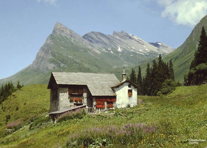 San Bernardino photo