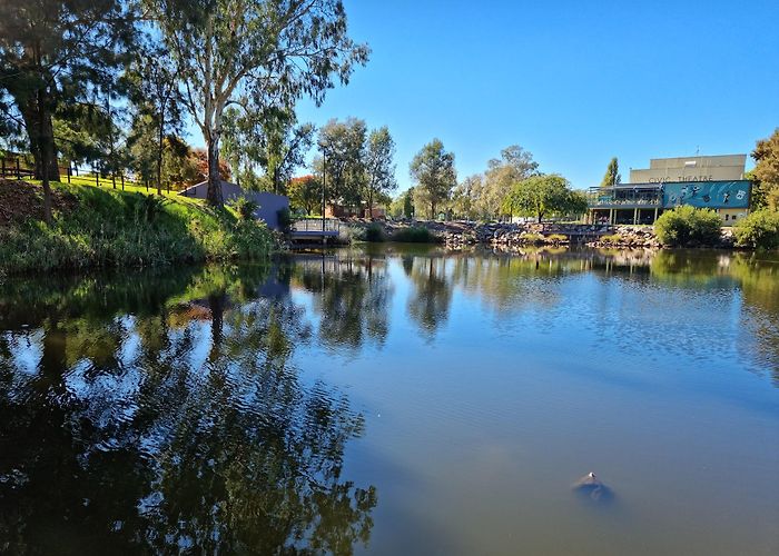 Wagga Wagga photo
