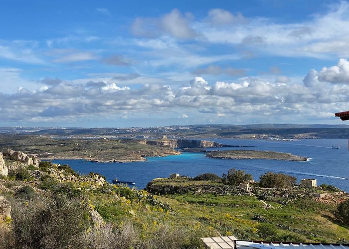 Qala photo