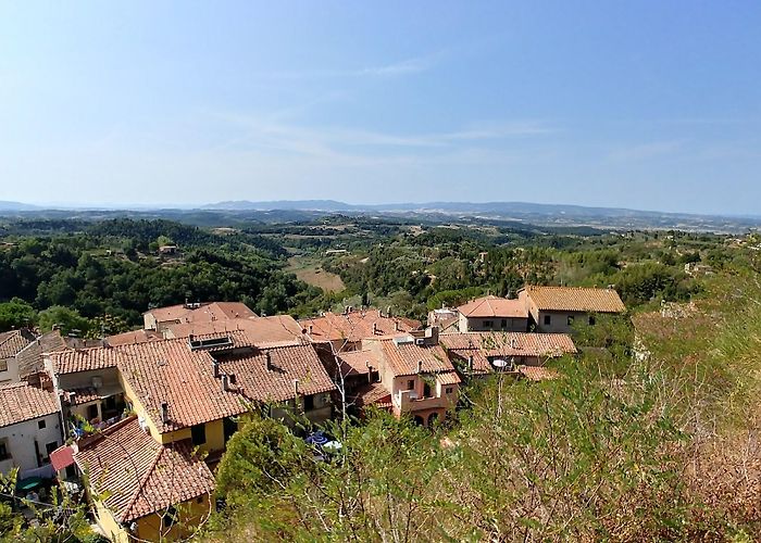 Palaia photo
