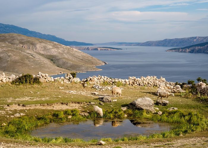 Baska (Krk) photo