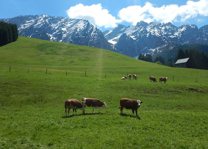 Bad Mitterndorf photo