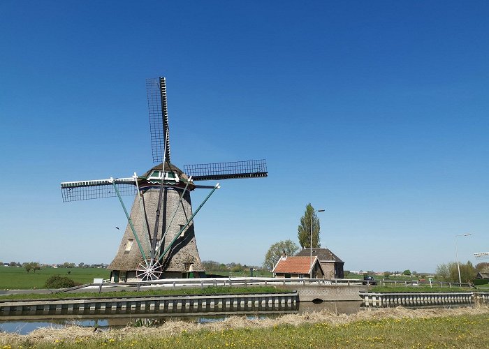 Maasland photo