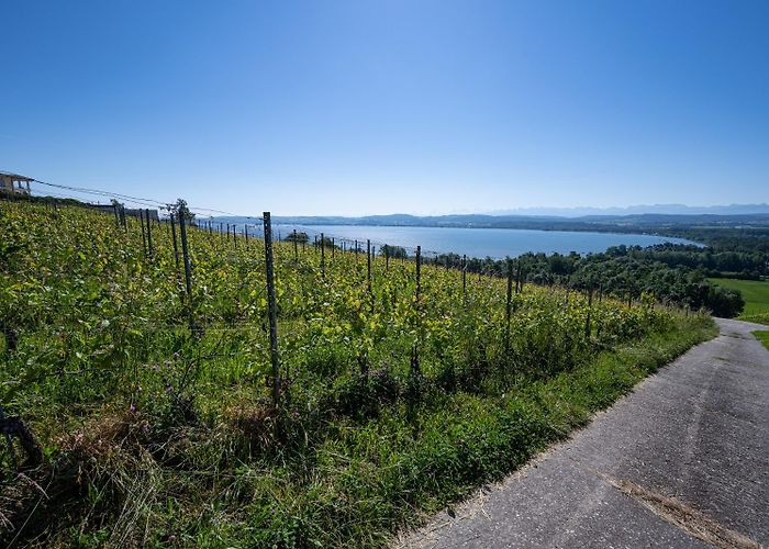 Vully-les-Lacs photo