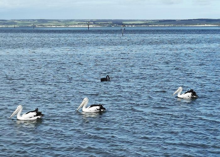 American River photo