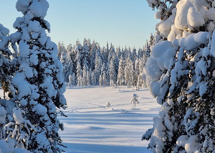 Yllasjarvi photo