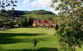 Residence Froehn Andlau-au-Val Exterior photo