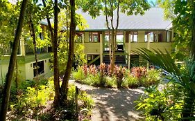 Jackaroo Treehouse Rainforest Retreat Vandrehjem Mission Beach Exterior photo