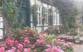 Rosindell Cottage Lichtenau/Westfalen Exterior photo