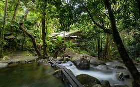 Daintree Secrets Rainforest Sanctuary Villa Diwan Exterior photo