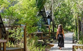 Selina Magnetic Island Vandrehjem Horseshoe Bay Room photo