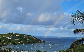 Immaculate Ocean Views Above The Westin Resort - Large Deck Cruz Bay Exterior photo