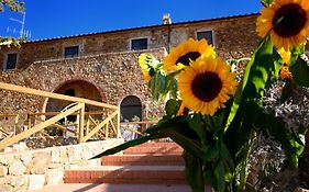 Antico Borgo Casalappi Lejlighedshotel Campiglia Marittima Exterior photo